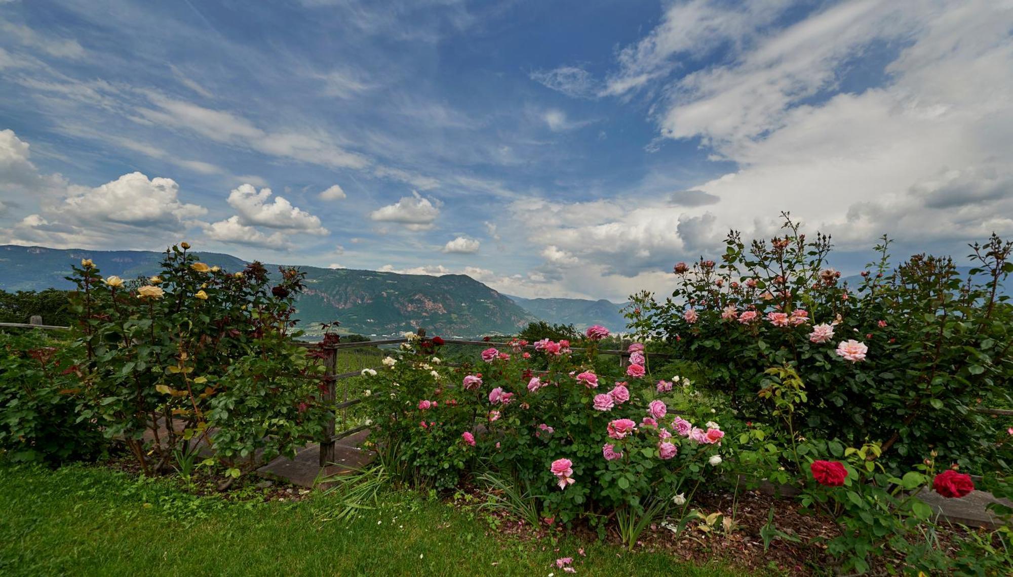 Weingut Stuck Appartement Eppan an der Weinstraße Buitenkant foto