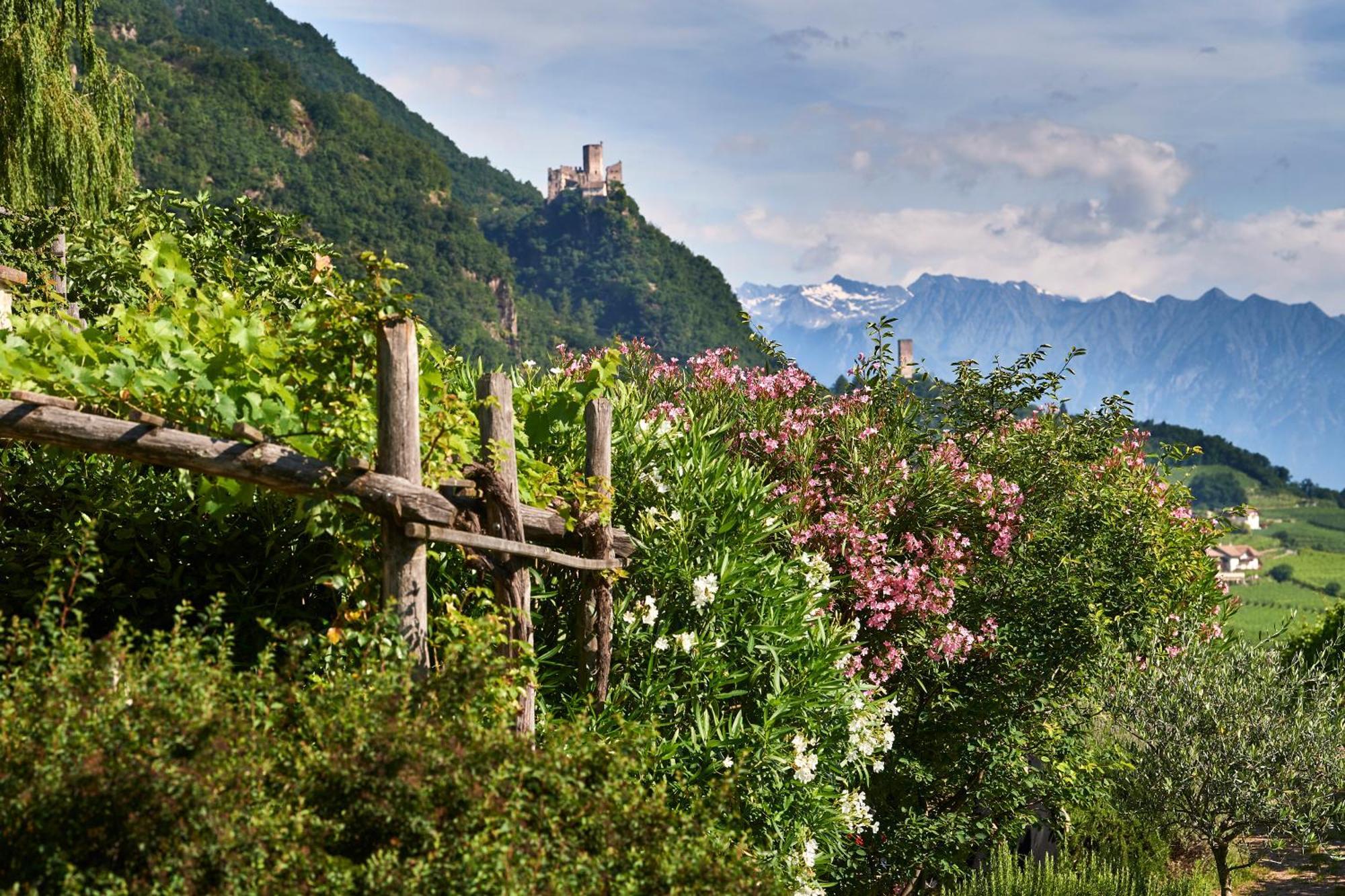 Weingut Stuck Appartement Eppan an der Weinstraße Buitenkant foto